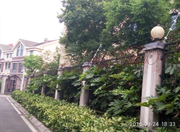 清溪玫瑰園案例